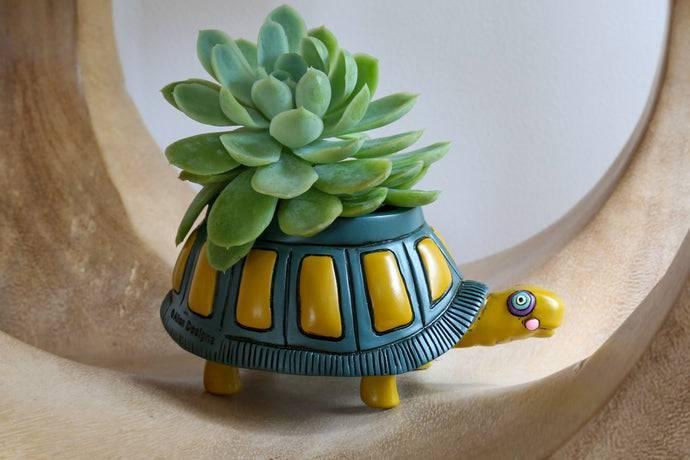 Turtle Pot Planter Small Flipper - The Renmy Store Homewares & Gifts