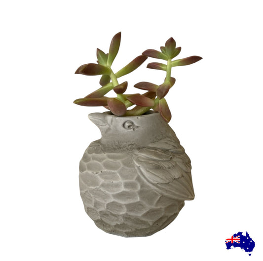 Planter Pot Bird Vase Aussie Handmade Concrete
