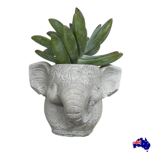 Elephant Boho Planter Pot & Vase | Handmade Concrete Aussie Made Decor