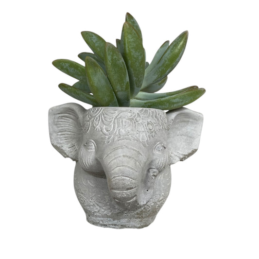 Planter Pot Elephant Boho Aussie Handmade Concrete