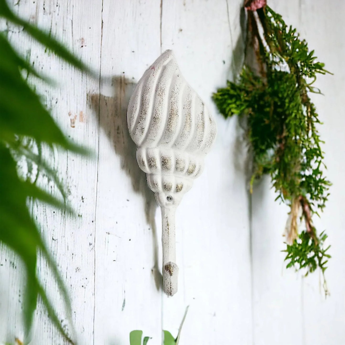 Hook Shell White Beach House - The Renmy Store Homewares & Gifts