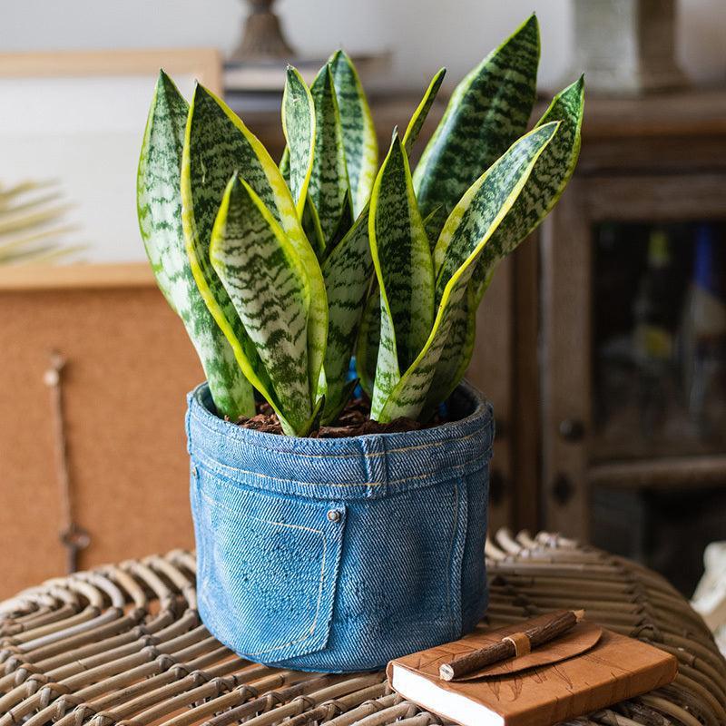 Planter Pot Jeans Rustic Denim Garden - The Renmy Store Homewares & Gifts