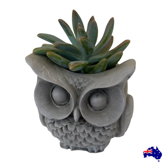 Planter Pot Owl Bird Aussie Handmade Concrete