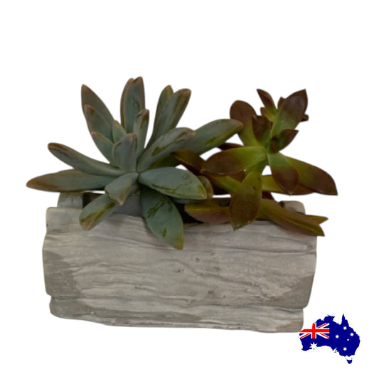 Planter Pot Tree Log Rustic Aussie Handmade Concrete