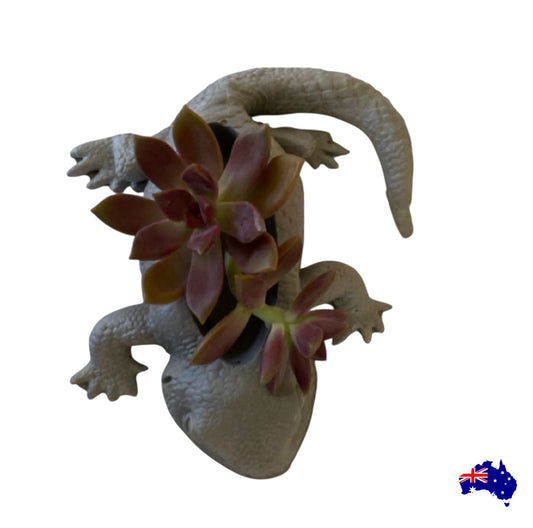 Planter Pot Lizard Aussie Handmade Concrete