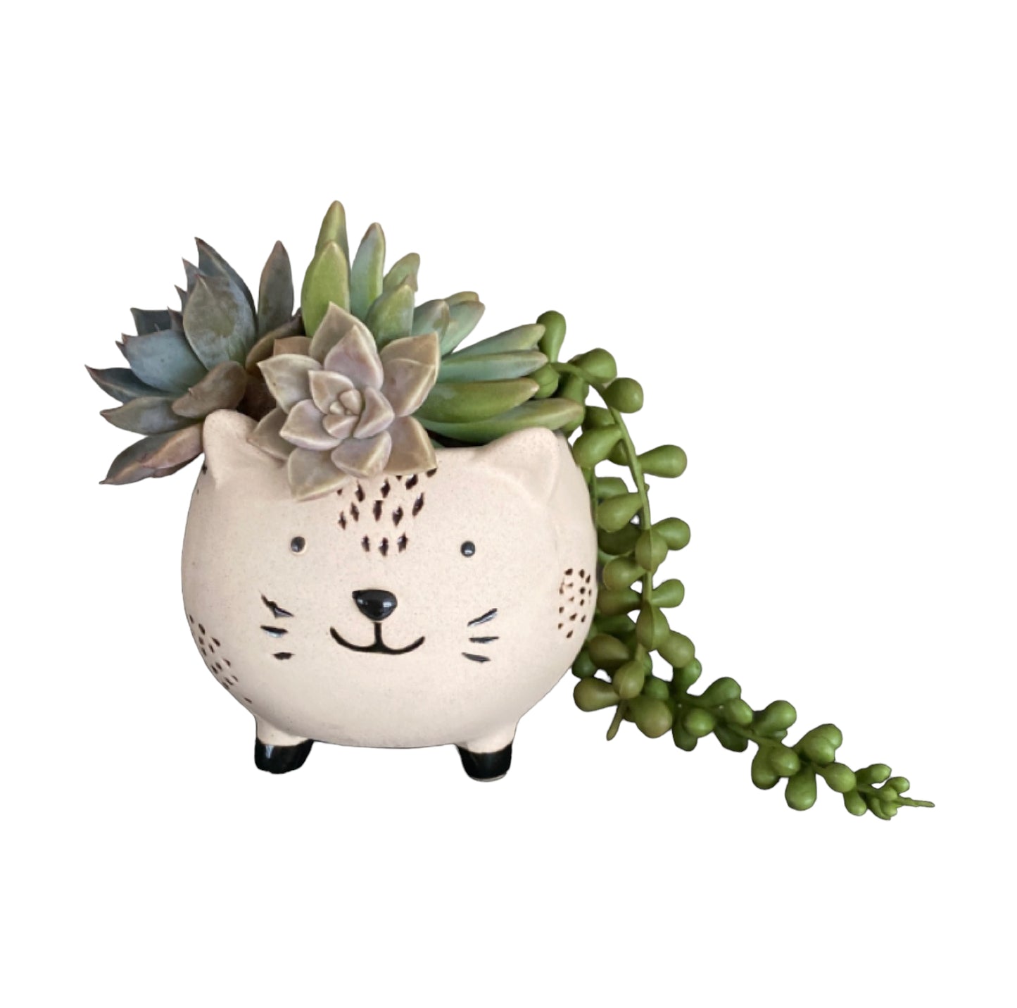 Plant Pot Planter Cat Katie - The Renmy Store Homewares & Gifts 