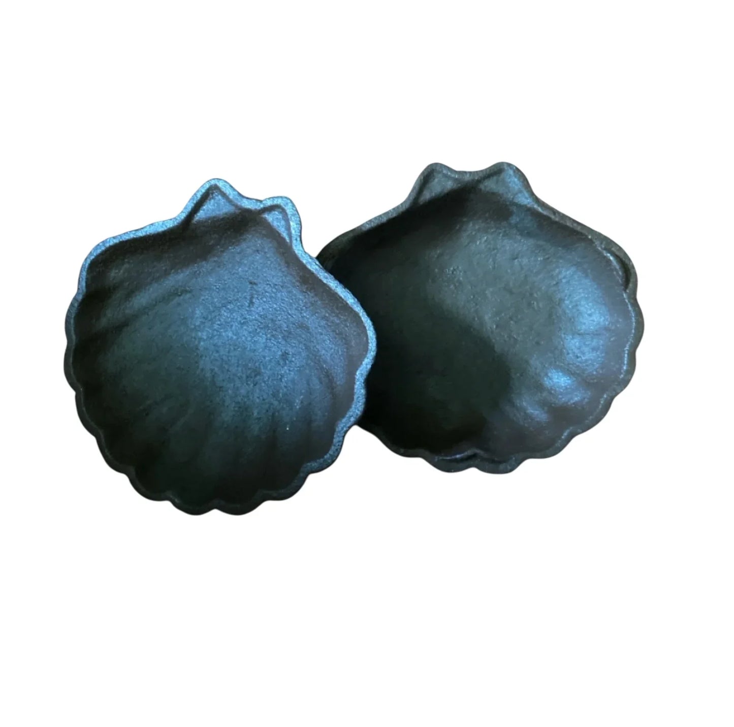 Key Hide Hider Shell Coastal Rustic Cast Iron