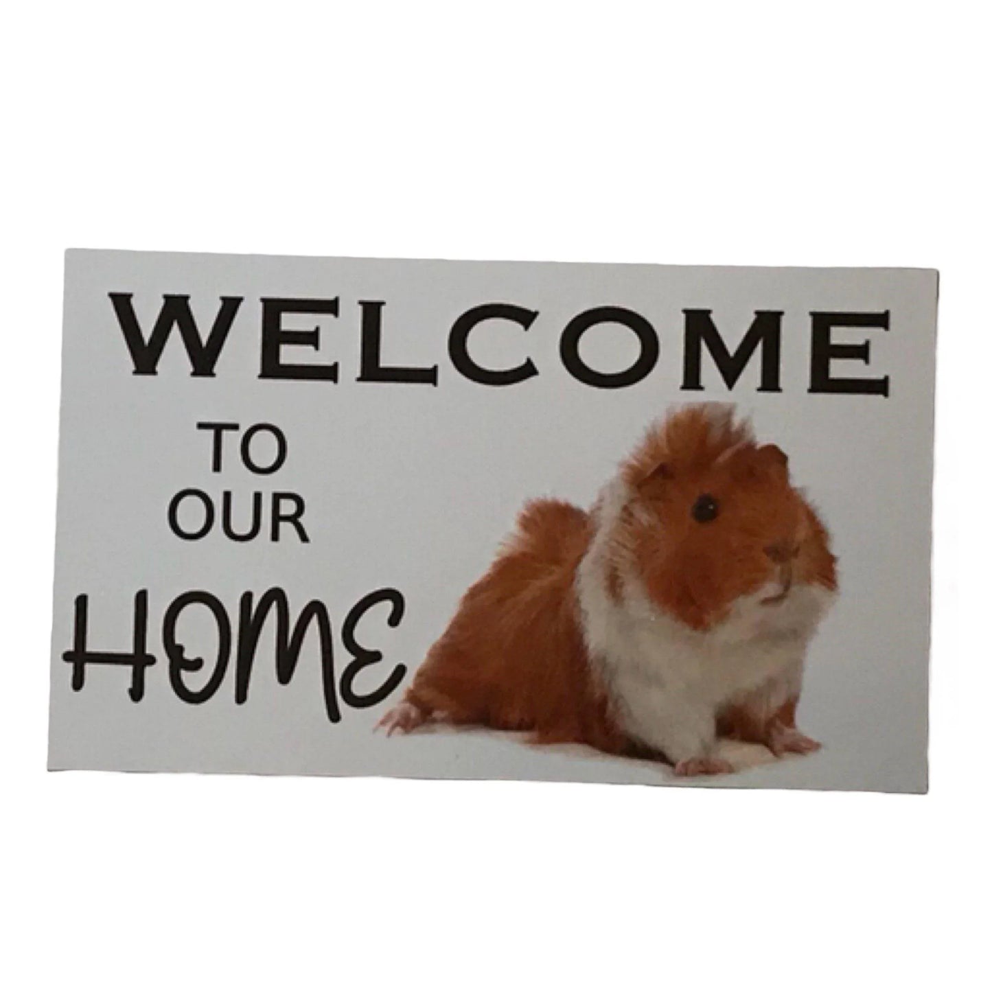 Welcome To Our Home Cute Guinea Pig Sign - The Renmy Store Homewares & Gifts