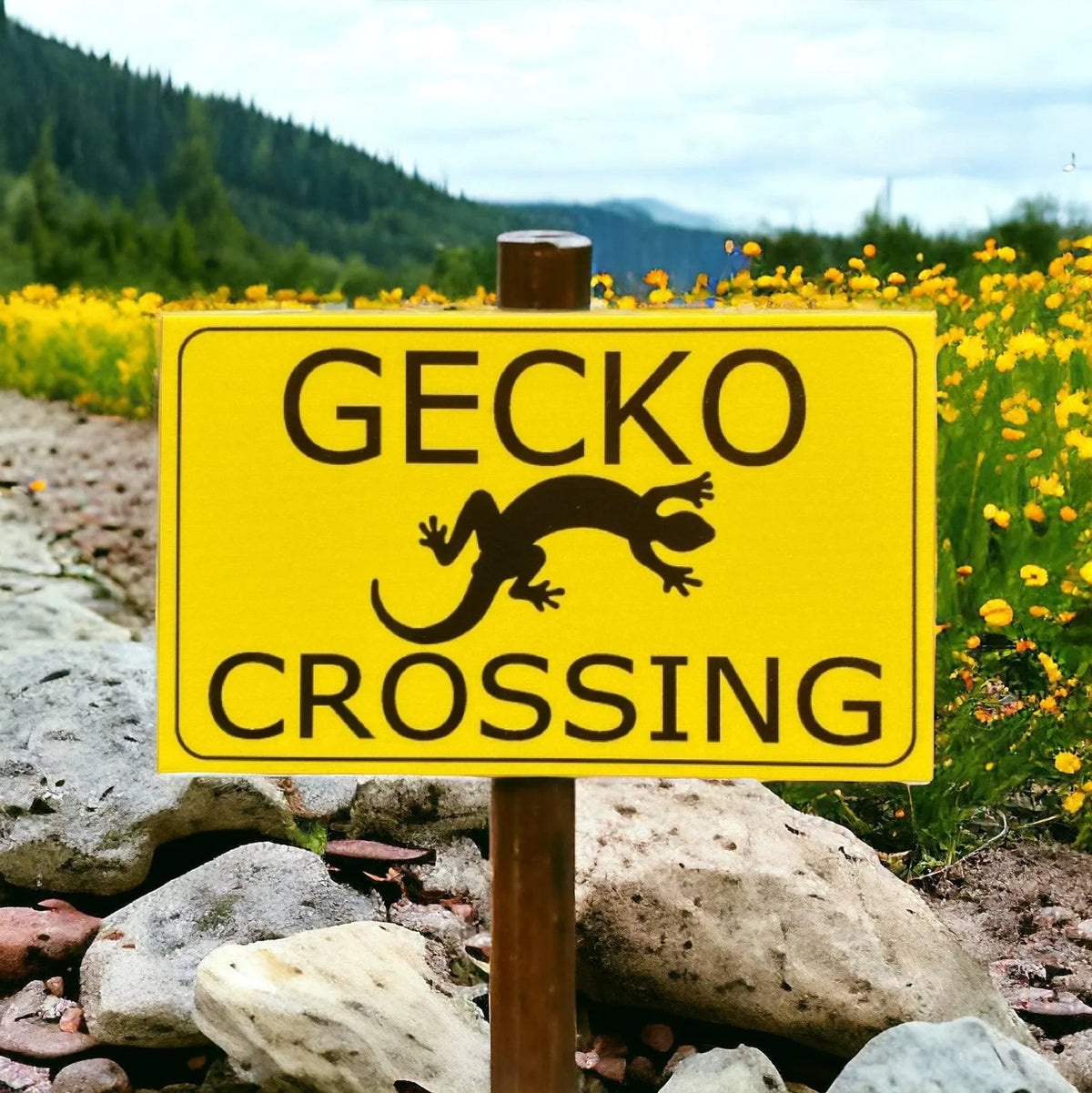 Gecko Lizard Crossing Sign - The Renmy Store Homewares & Gifts