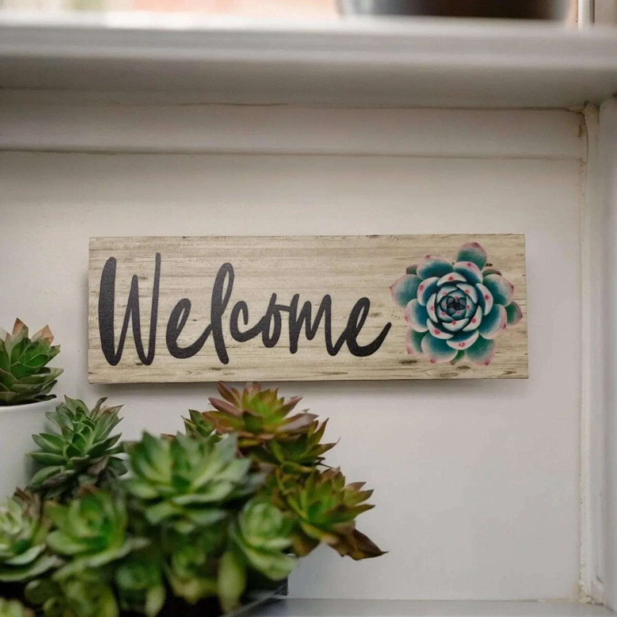 Welcome with Succulent Sign - The Renmy Store Homewares & Gifts