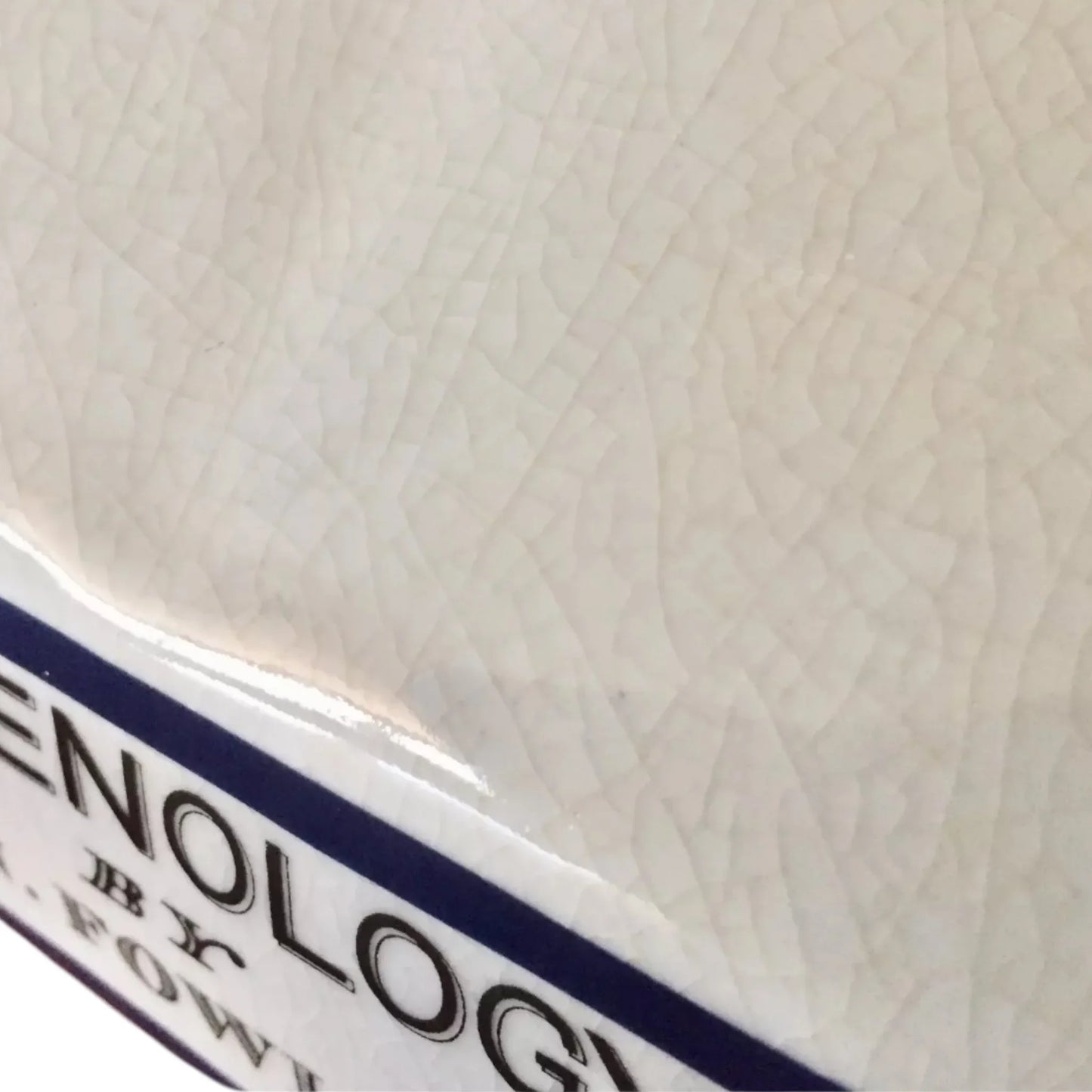 Phreno Phrenology Head Human Retro Vintage Ornament