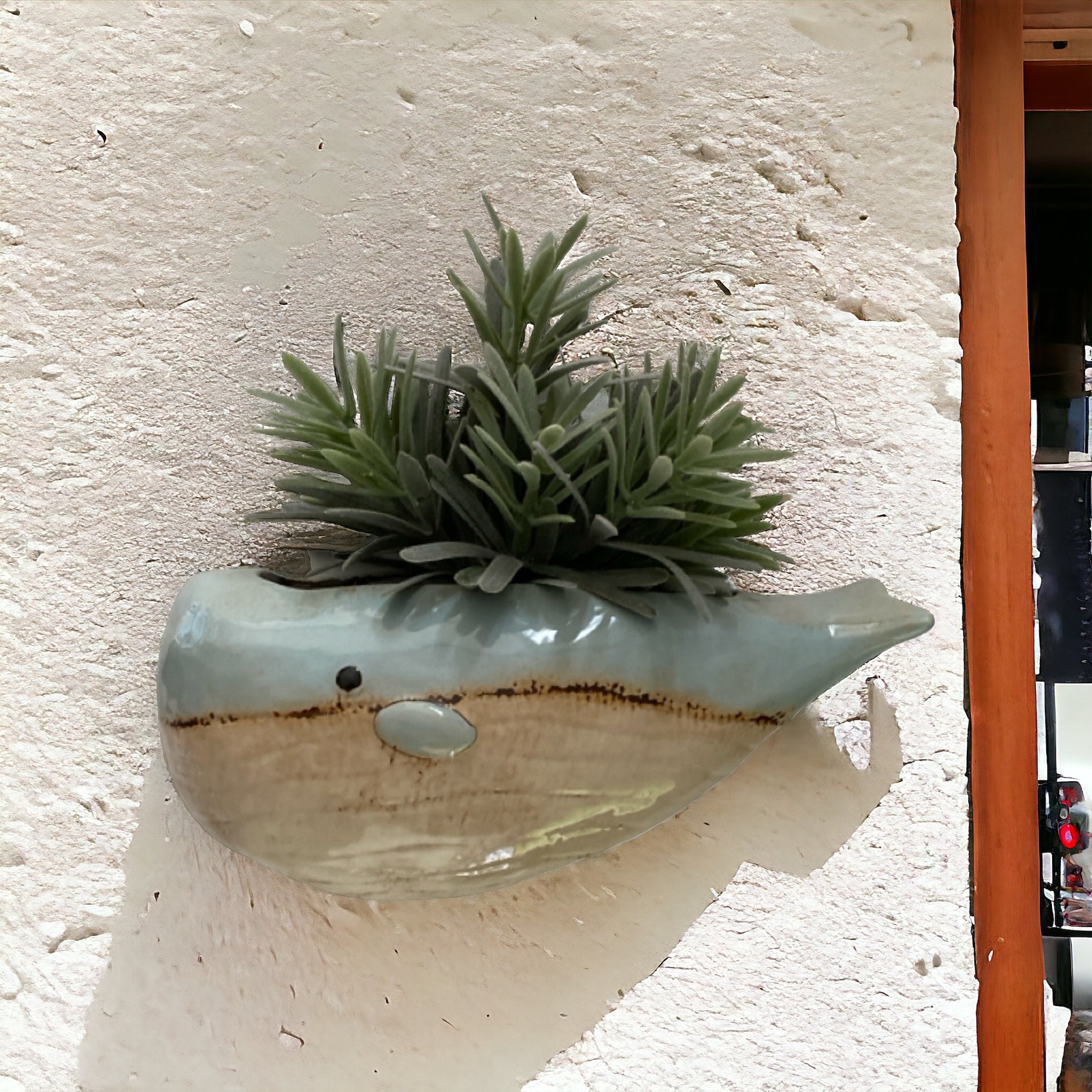 Whale Wall Planter Pot Beach House - The Renmy Store Homewares & Gifts 
