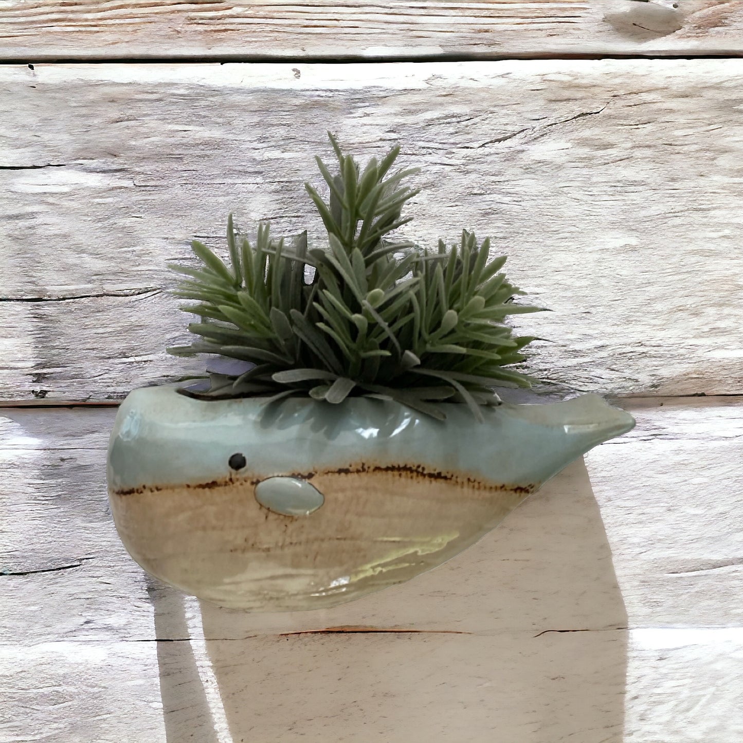 Whale Wall Planter Pot Beach House - The Renmy Store Homewares & Gifts 