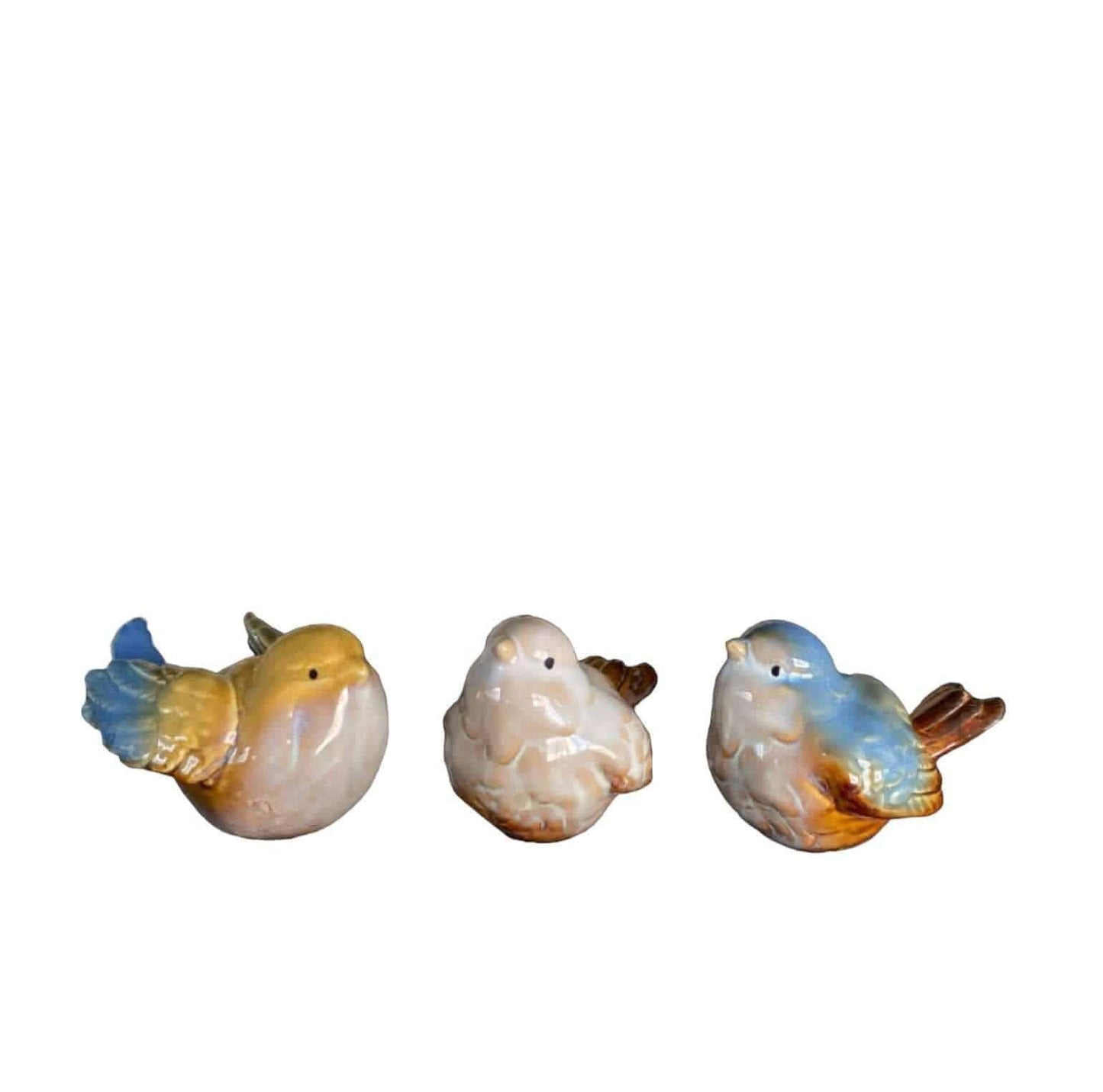 Bird Birds Natural Beauty Set Of 3 - The Renmy Store Homewares & Gifts