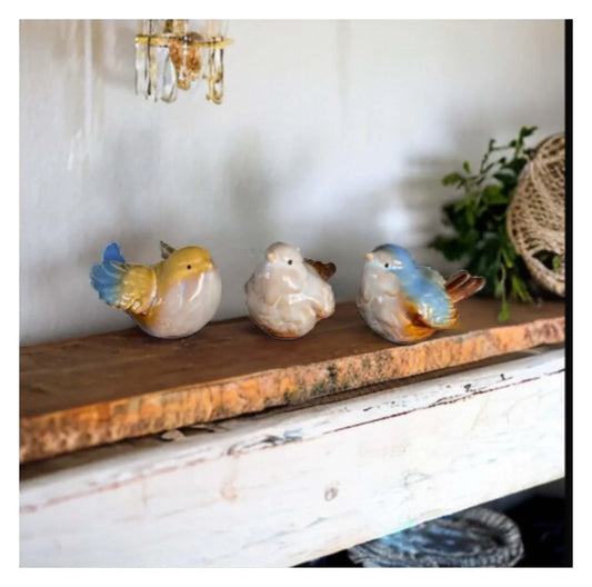 Bird Birds Natural Beauty Set Of 3 - The Renmy Store Homewares & Gifts