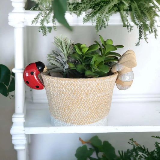 Bee and Ladybeetle Pot Sitter Hanger Planter - The Renmy Store Homewares & Gifts
