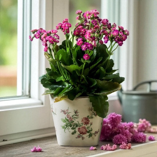 Planter Pot Garden Cottage Vintage Rose