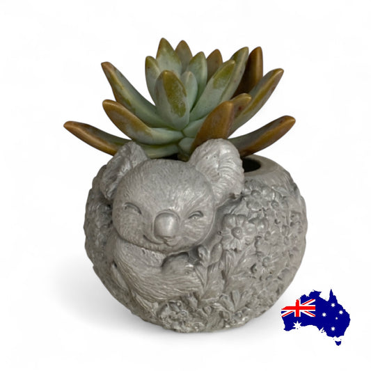 Planter Pot Koala Aussie Handmade Concrete