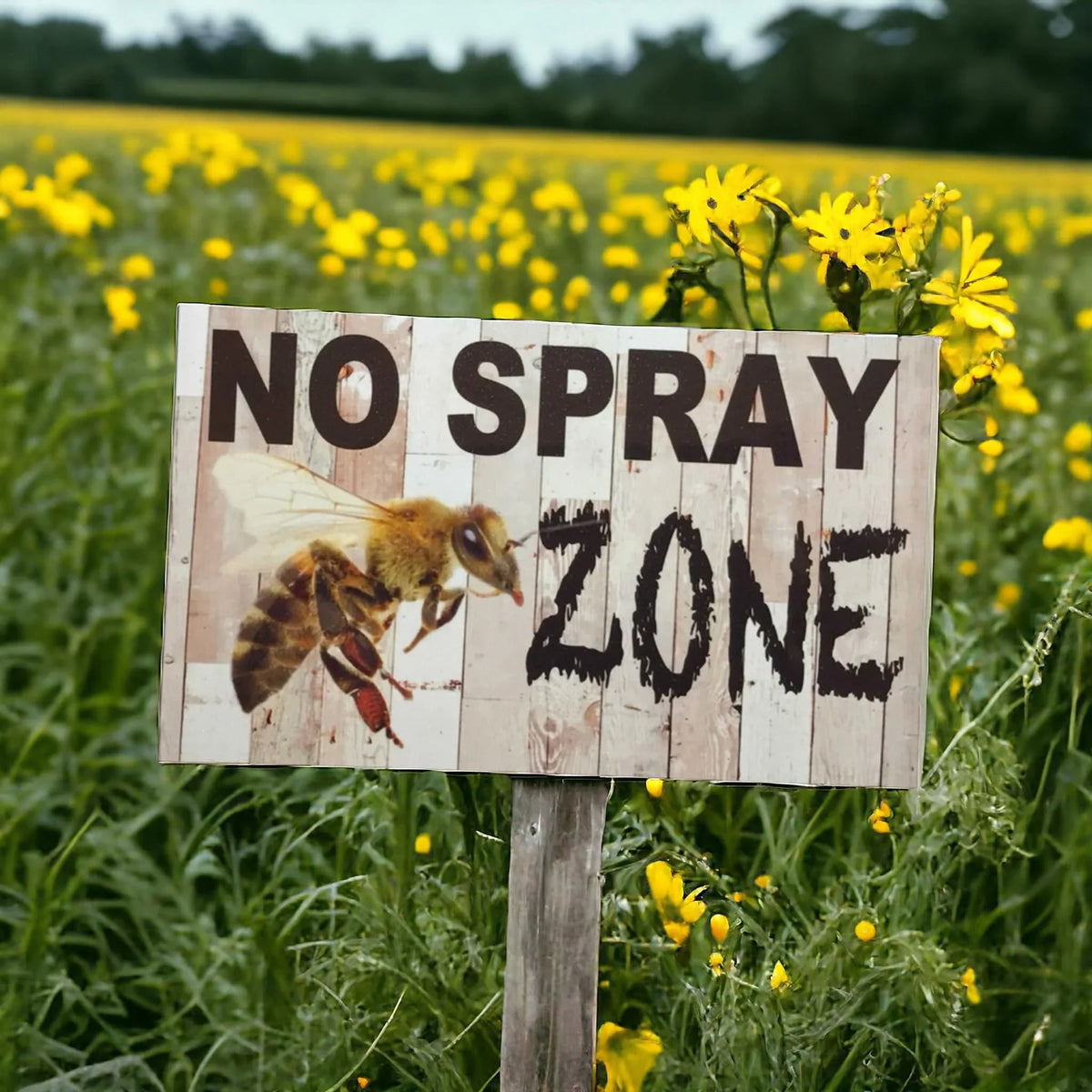 No Spray Zone Bee Sign - The Renmy Store Homewares & Gifts