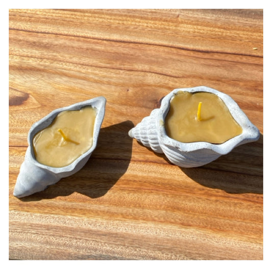 Pure Beeswax Shell Candle Set of 2 Beach Aussie Handmade