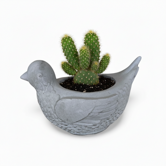 Concrete Pigeon Planter Pot | Handmade Australian Bird Succulent Pot