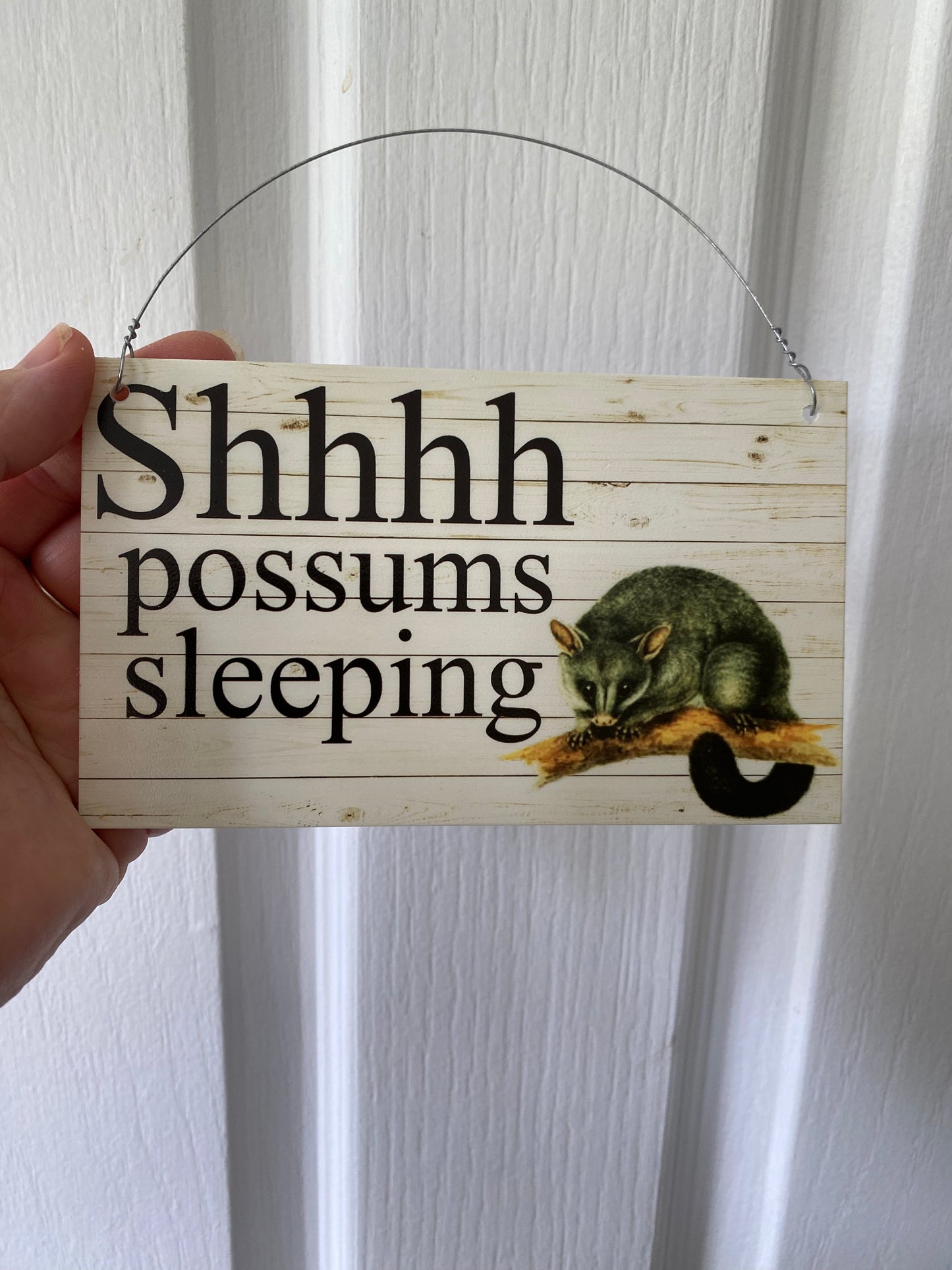 Custom Possum Sign - Wildlife Carer Gift - Personalised Large Format Signage - Australian Made
