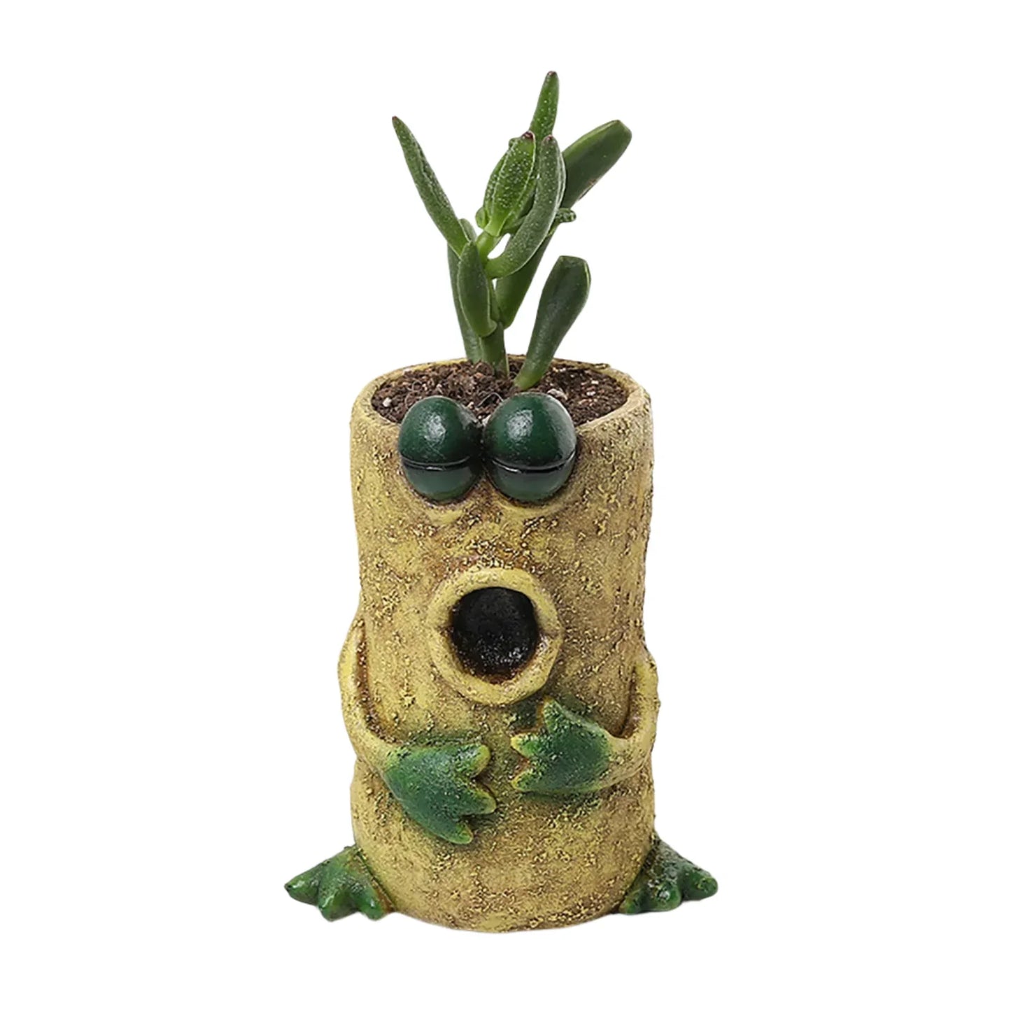 Planter Pot Funky Frog Guy - The Renmy Store Homewares & Gifts