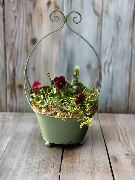 Pot Planter Garden Rustic Sage - The Renmy Store Homewares & Gifts