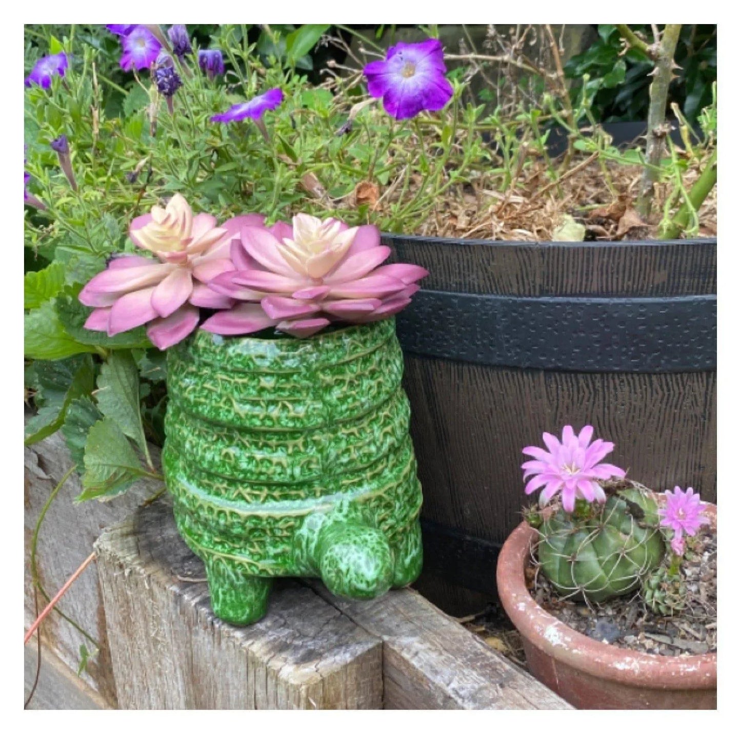 Turtle Plant Pot Planter Garden Green - The Renmy Store Homewares & Gifts