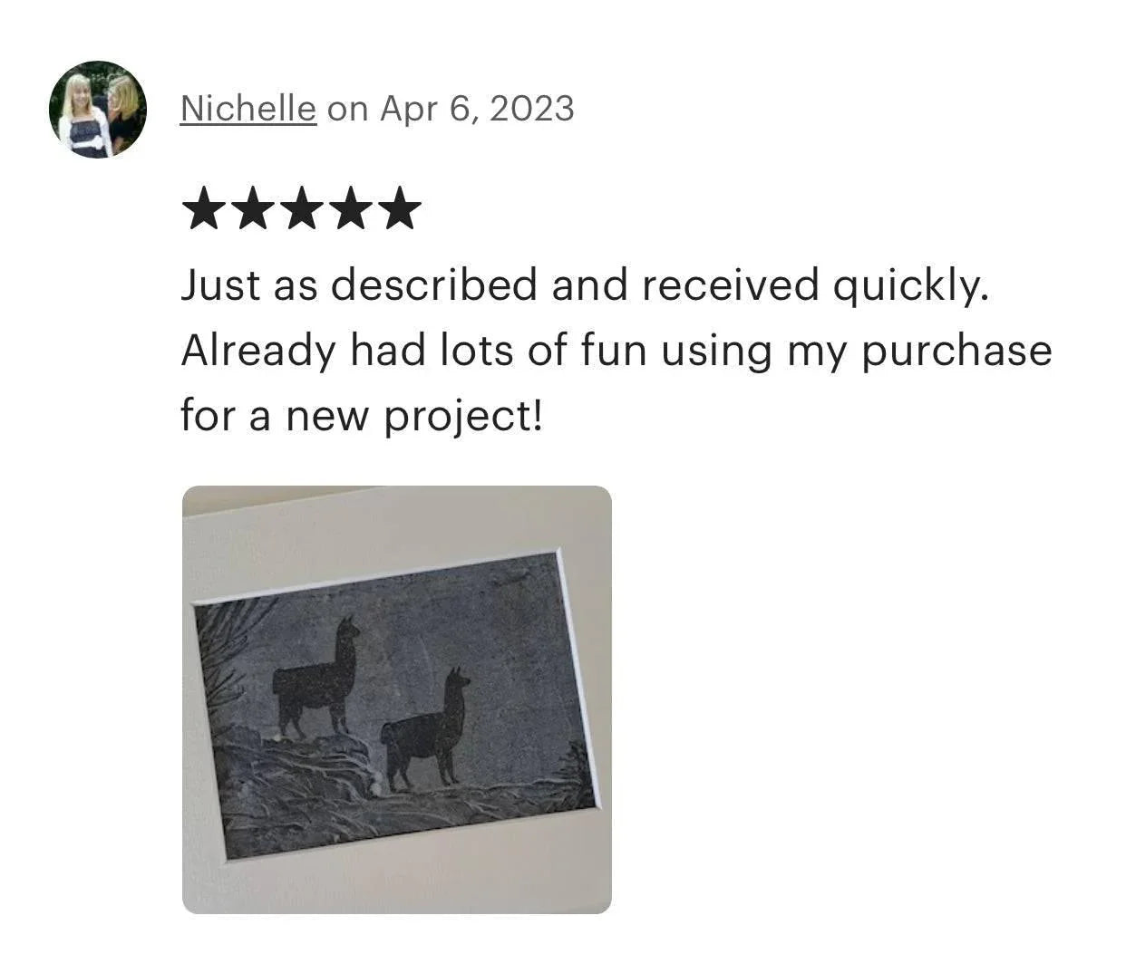 Llama Alpaca Craft Set of 28 DIY Raw MDF Timber - The Renmy Store Homewares & Gifts