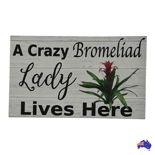 Crazy Bromeliad Lady Lives Here Sign - The Renmy Store Homewares & Gifts