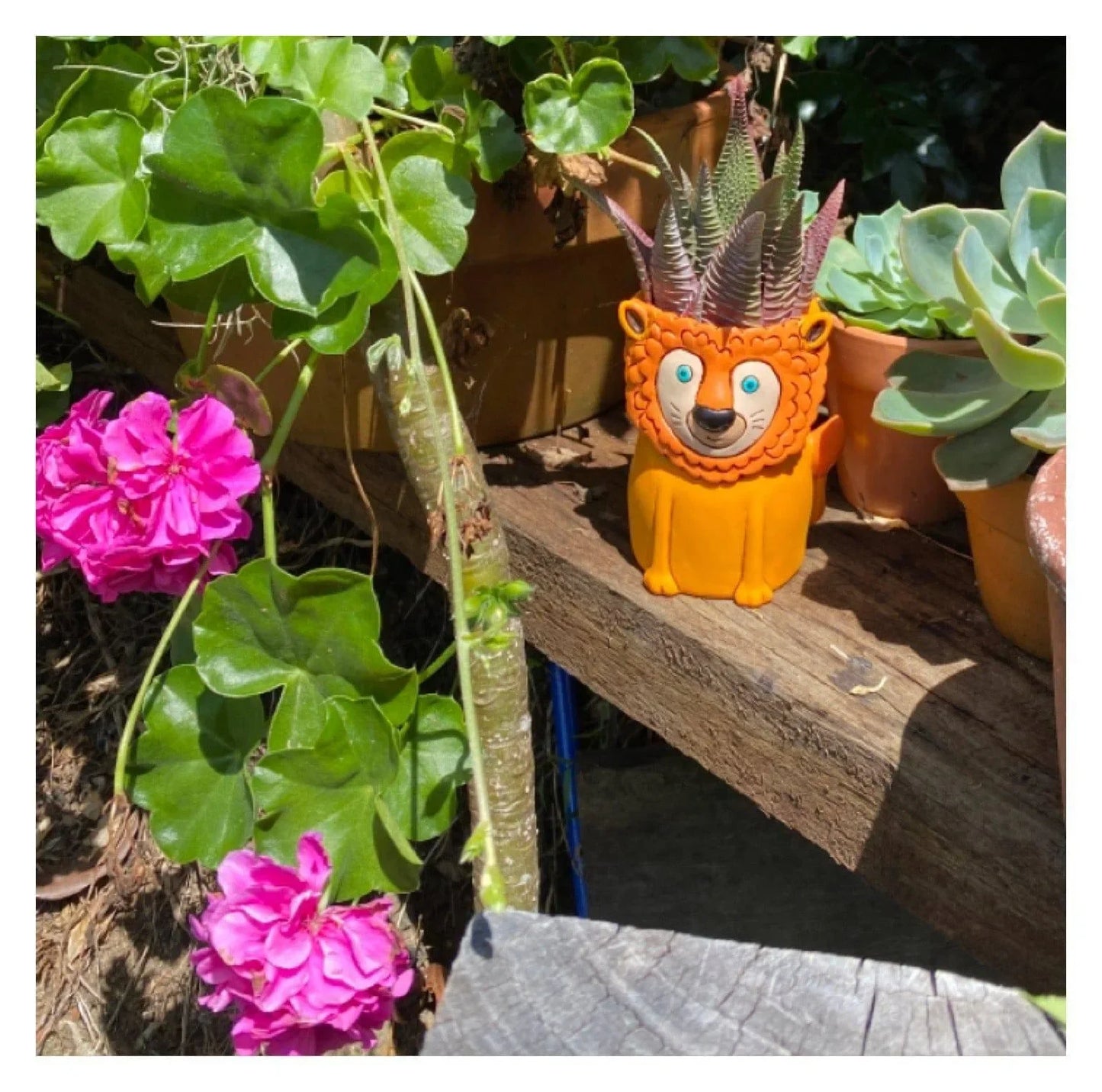 Lion Funky Pen Holder Pot Planter - The Renmy Store Homewares & Gifts