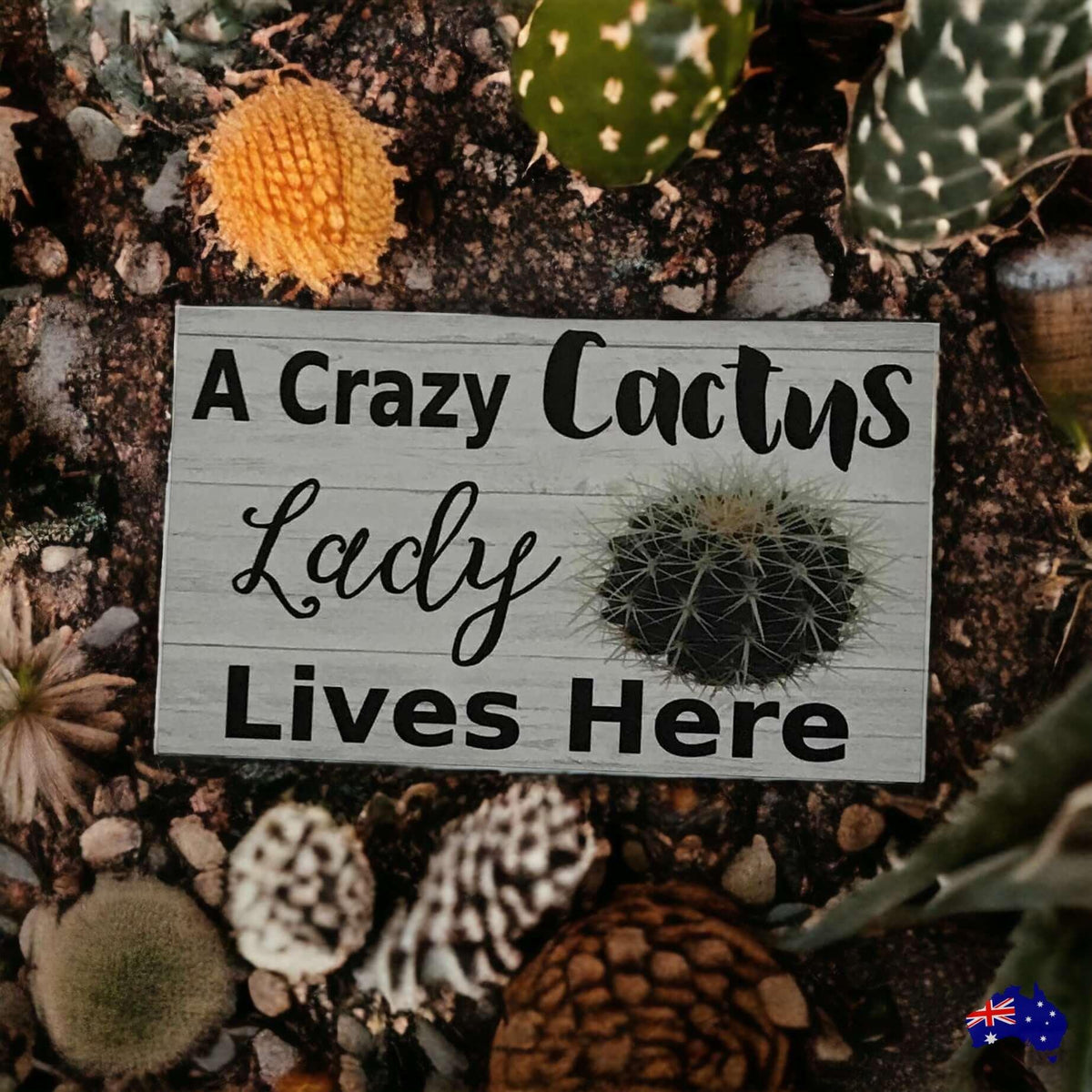 Crazy Cactus Lady Lives Here Sign - The Renmy Store Homewares & Gifts