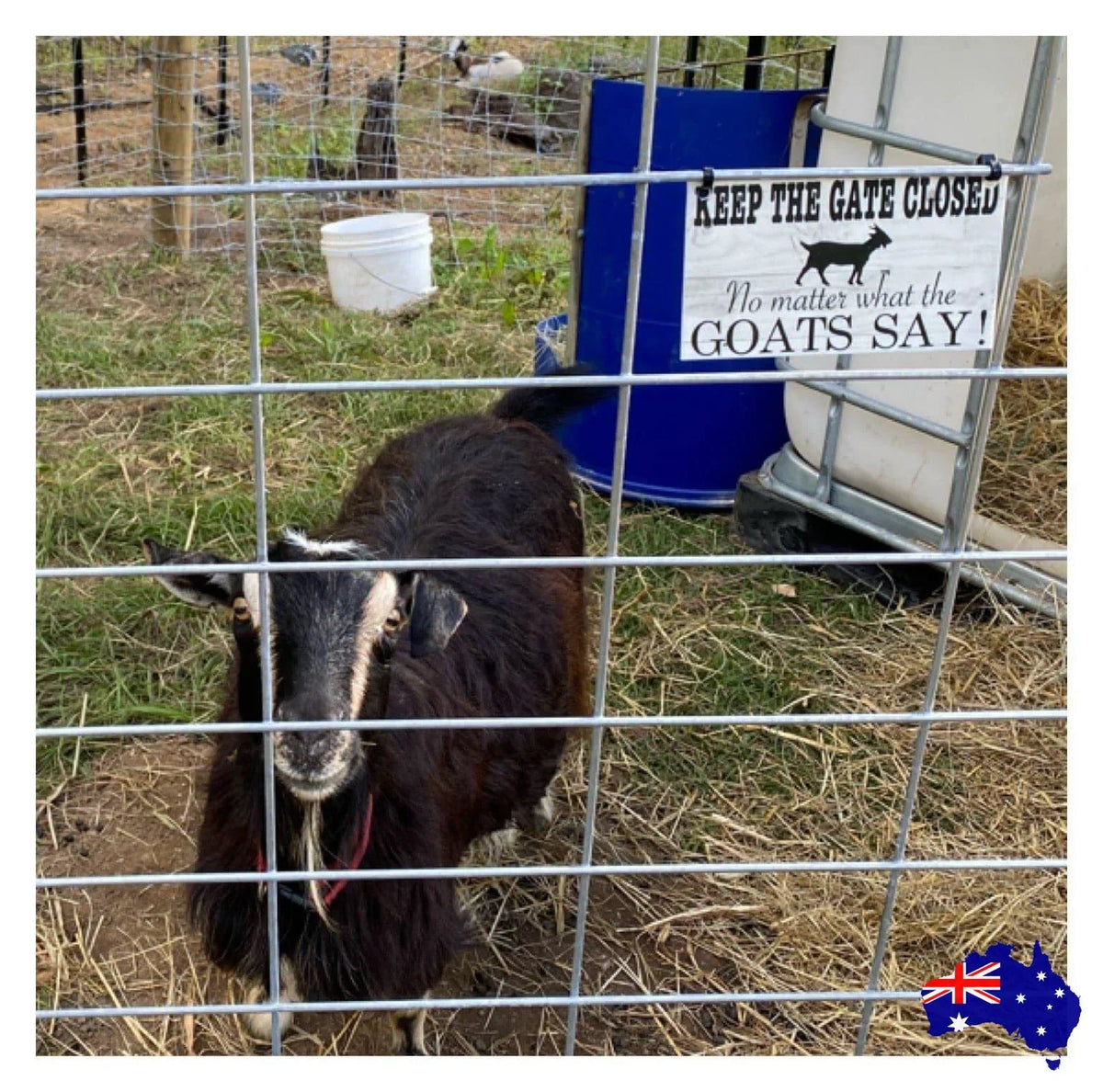 Goats Keep The Gate Closed Goat Sign - The Renmy Store Homewares & Gifts