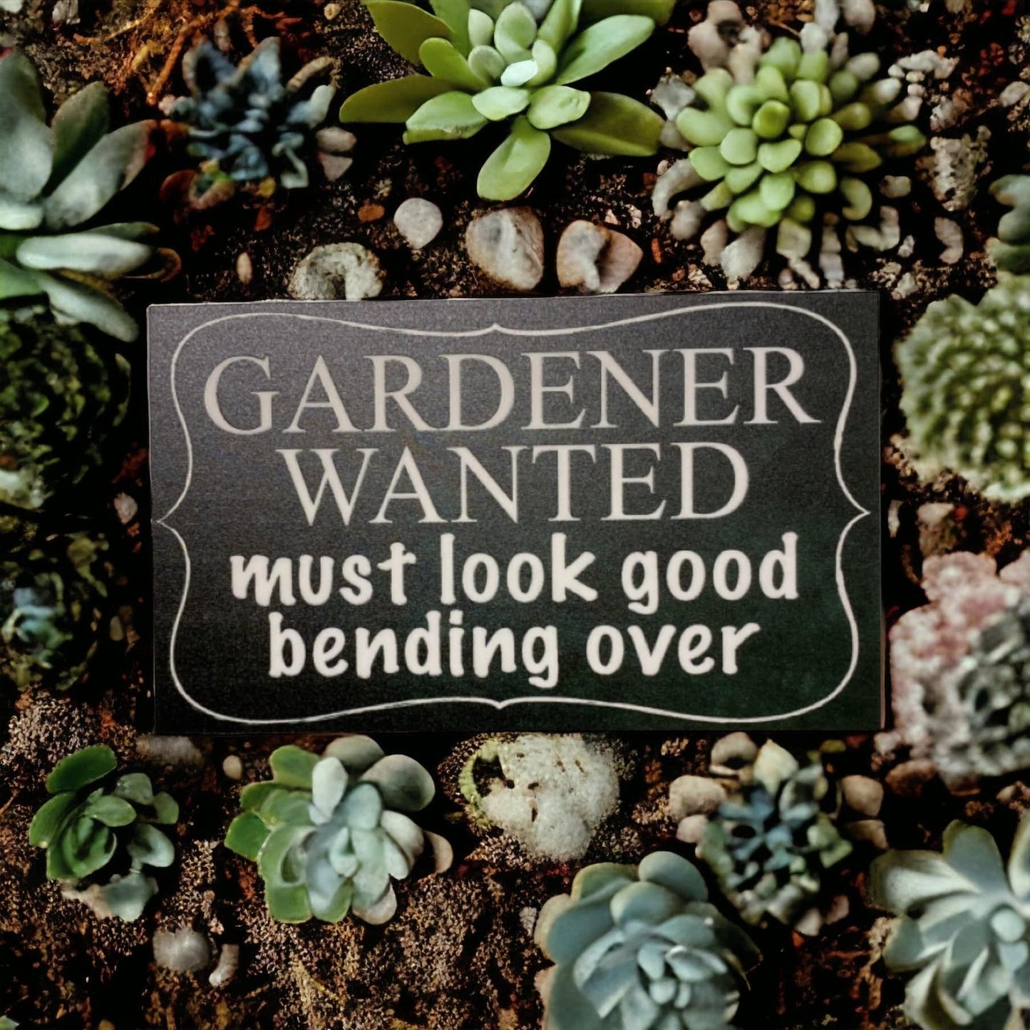 Gardener Wanted Funny Gardening Sign - The Renmy Store Homewares & Gifts
