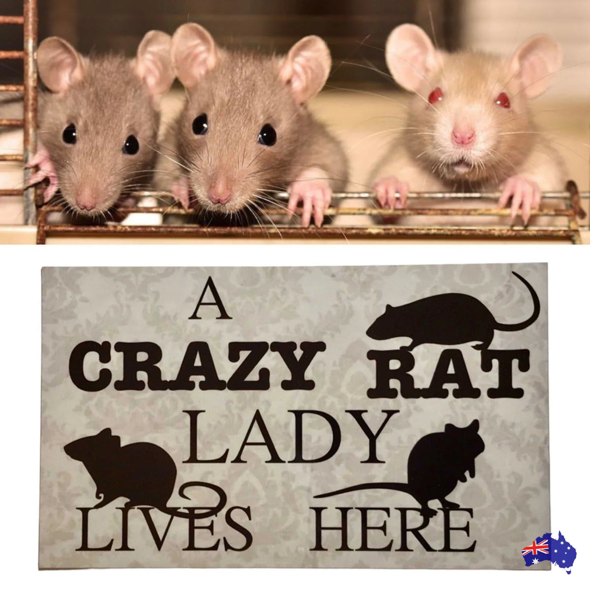 Crazy Rat Lady Lives Here Sign - The Renmy Store Homewares & Gifts