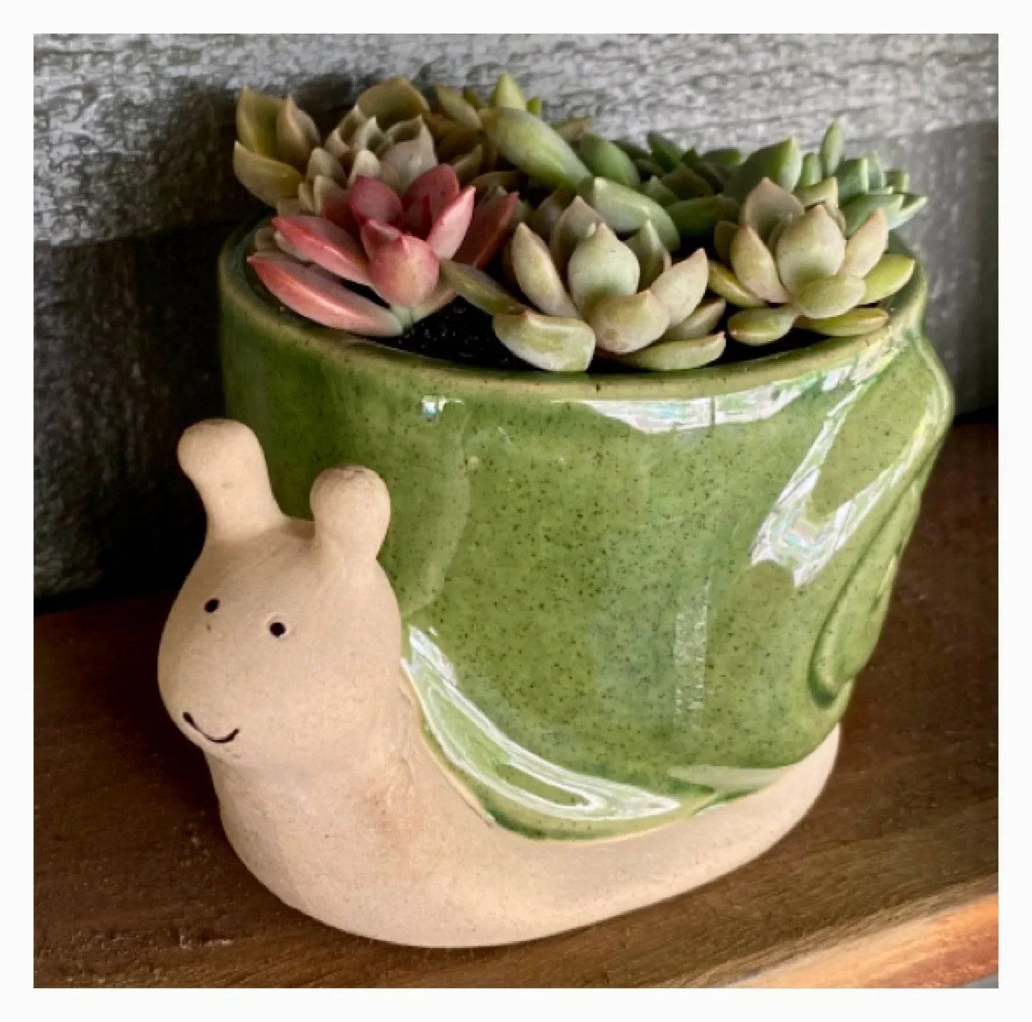 Snail Plant Pot Planter Olive Country - The Renmy Store Homewares & Gifts
