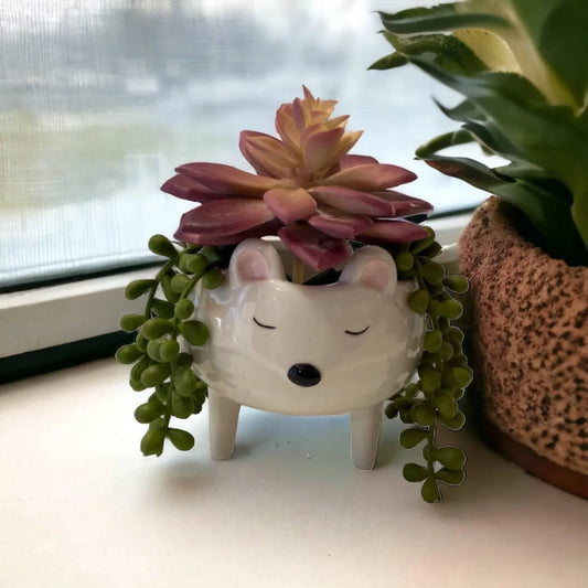 Mouse Pot Plant Planter Garden - The Renmy Store Homewares & Gifts