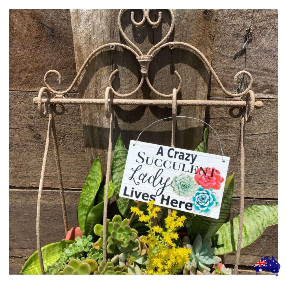 Crazy Succulent Lady Lives Here Sign - The Renmy Store Homewares & Gifts