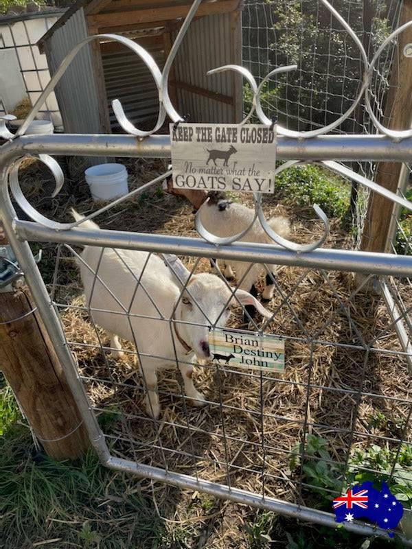 Goats Keep The Gate Closed Goat Sign - The Renmy Store Homewares & Gifts