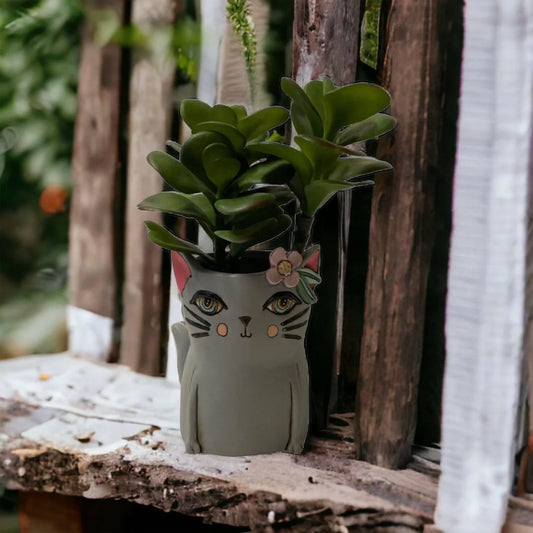 Cat Kitty Grey Pot Planter Plant Pen Holder - The Renmy Store Homewares & Gifts