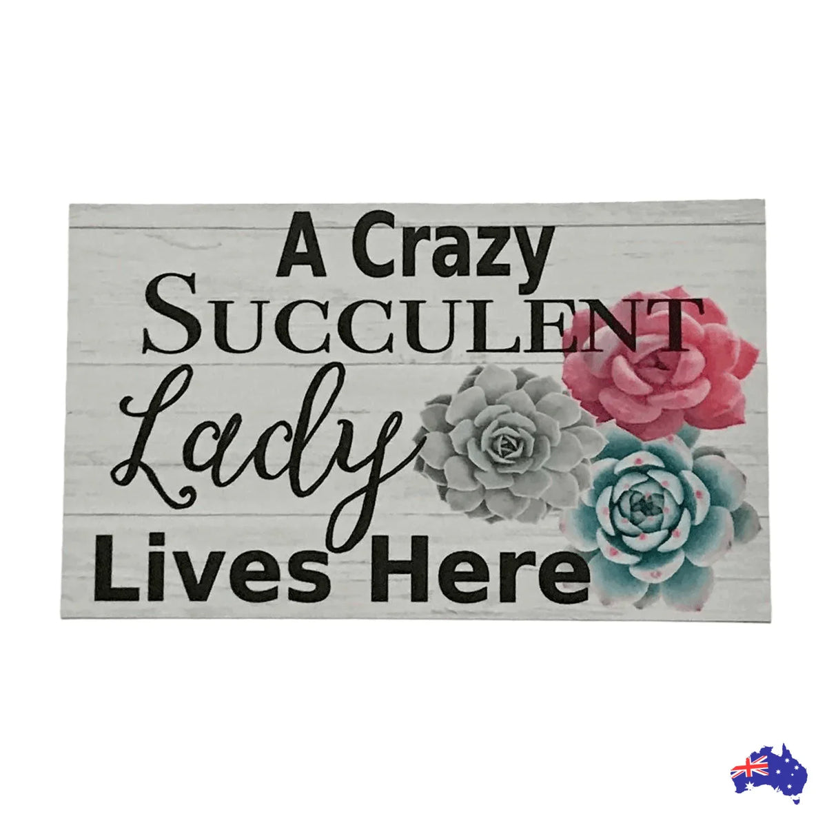 Crazy Succulent Lady Lives Here Sign - The Renmy Store Homewares & Gifts