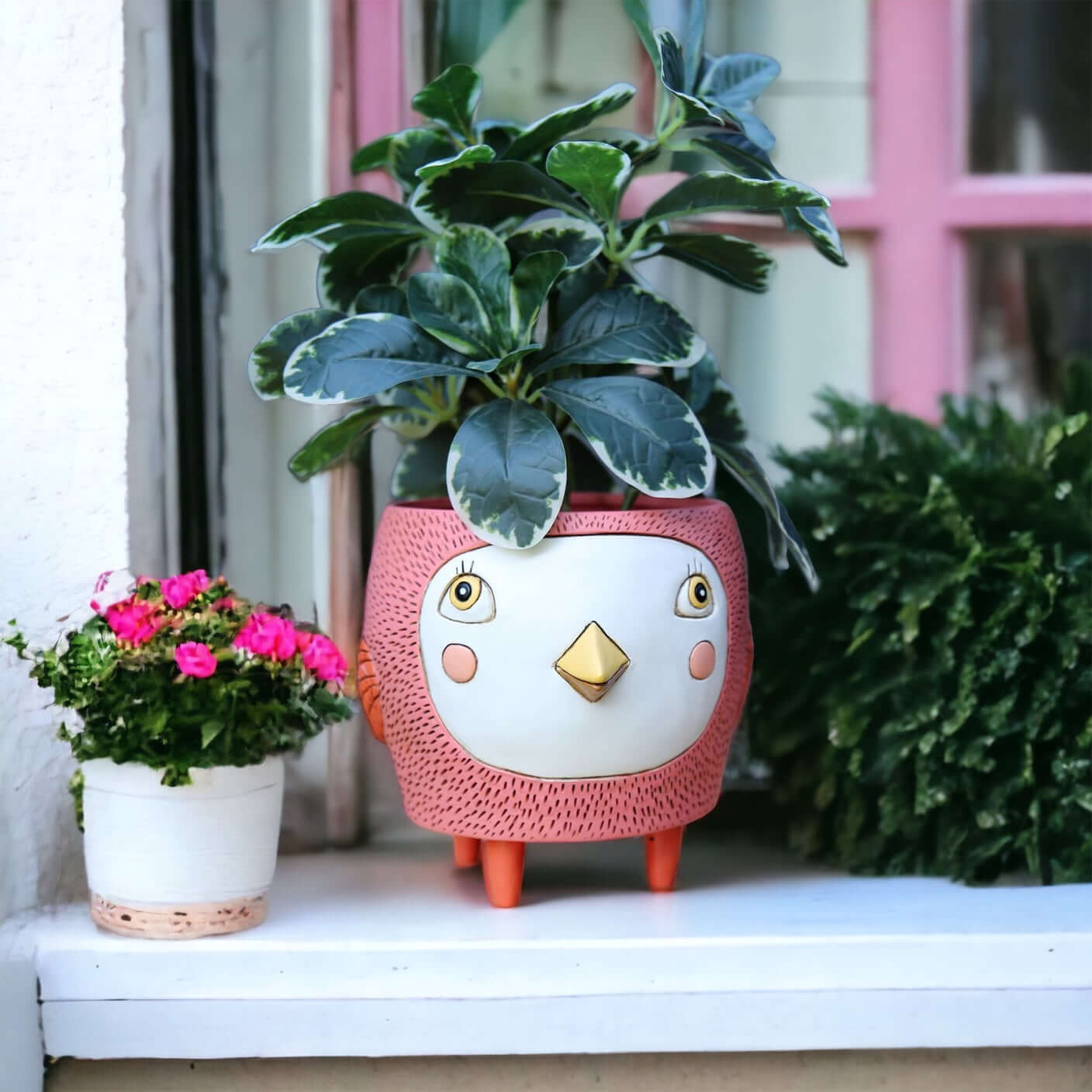 Bird Birdie Planter Funky Pot Plant Pink Large - The Renmy Store Homewares & Gifts 