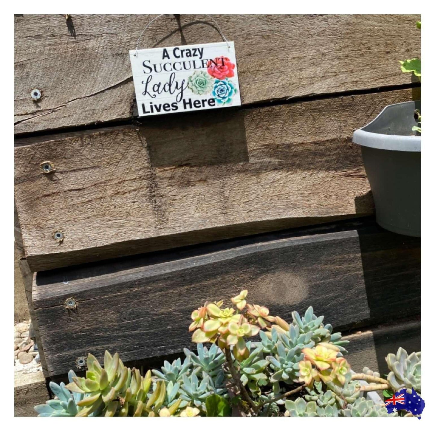 Crazy Succulent Lady Lives Here Sign - The Renmy Store Homewares & Gifts
