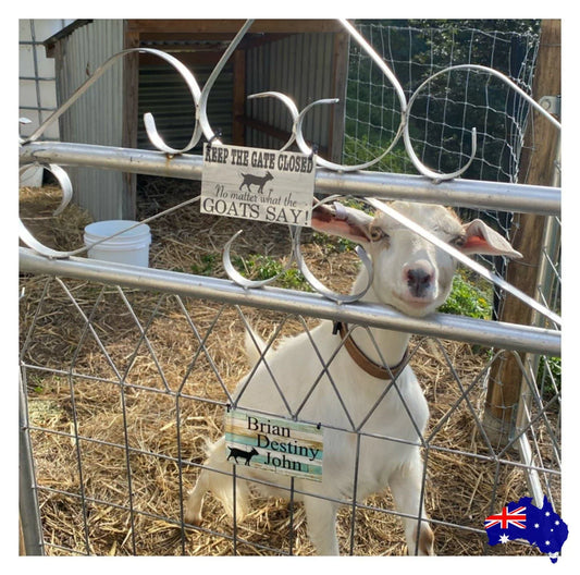 Goats Keep The Gate Closed Goat Sign - The Renmy Store Homewares & Gifts