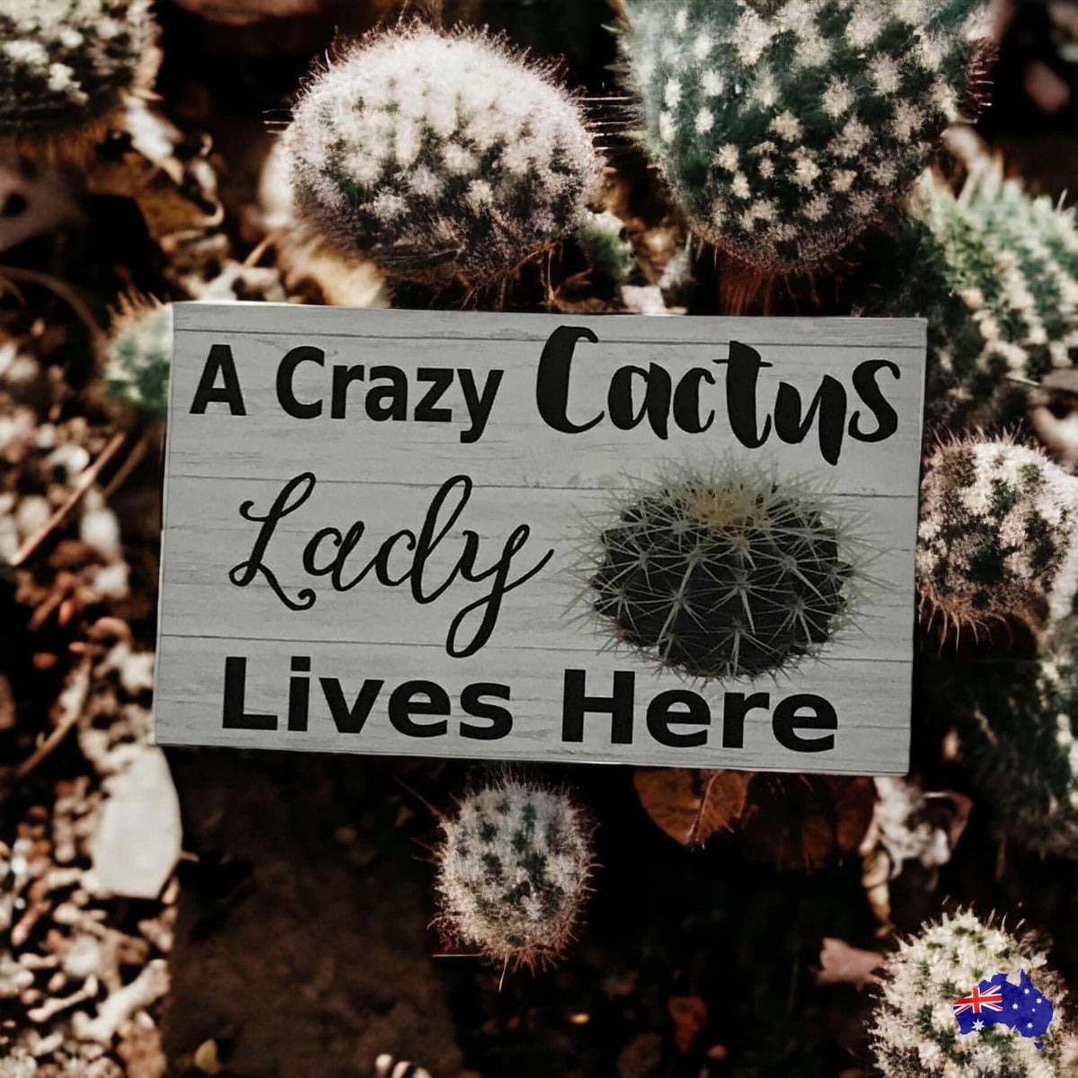 Crazy Cactus Lady Lives Here Sign - The Renmy Store Homewares & Gifts