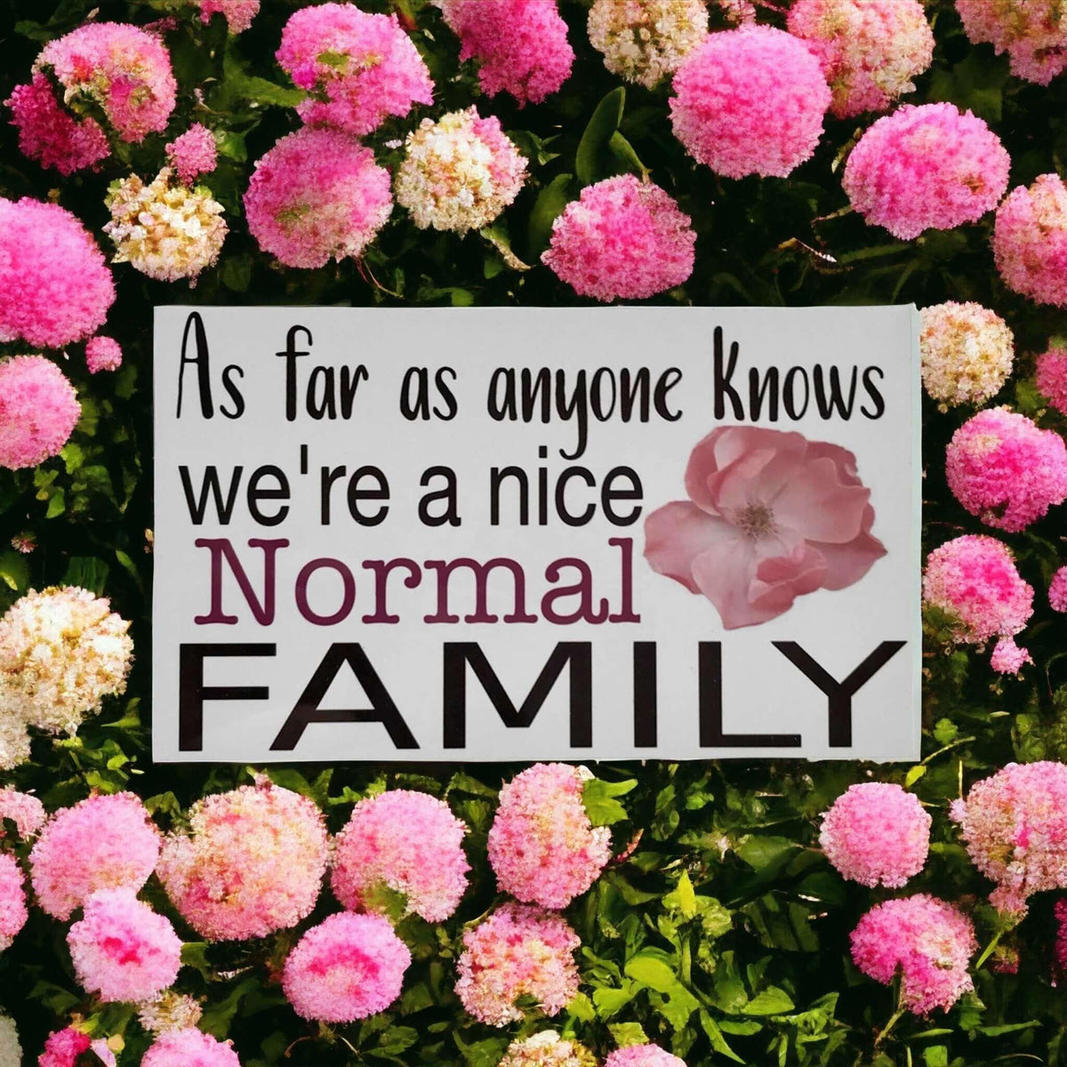 Funny Family Normal House Home Sign - The Renmy Store Homewares & Gifts
