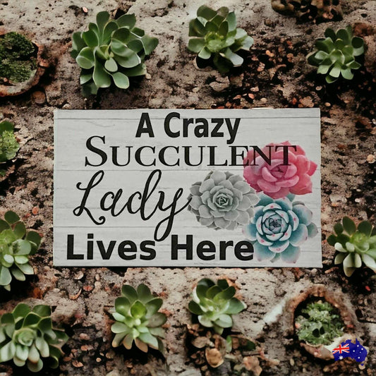 Crazy Succulent Lady Lives Here Sign - The Renmy Store Homewares & Gifts