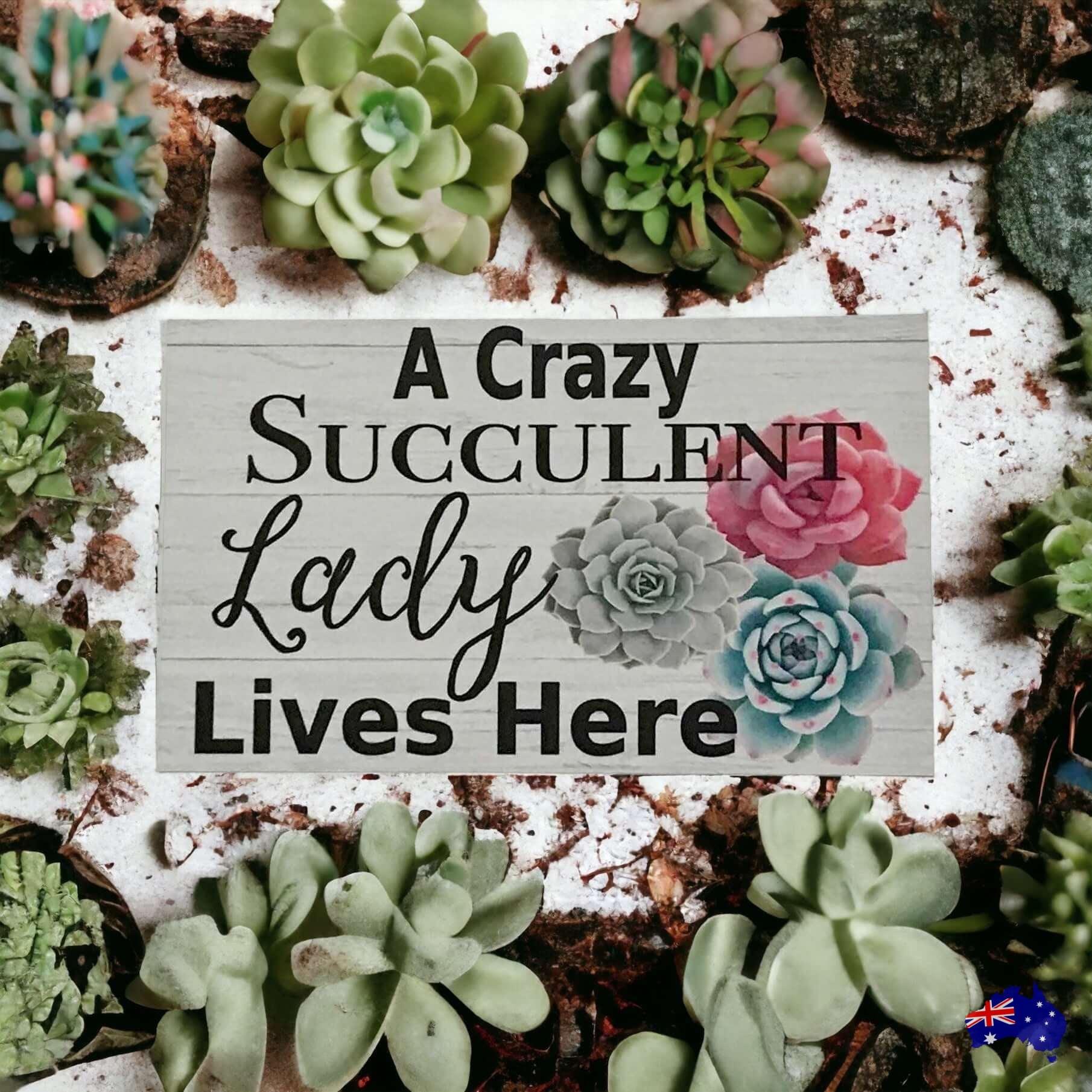 crazy succulent lady Crazy Succulent Lady Lives Here Sign