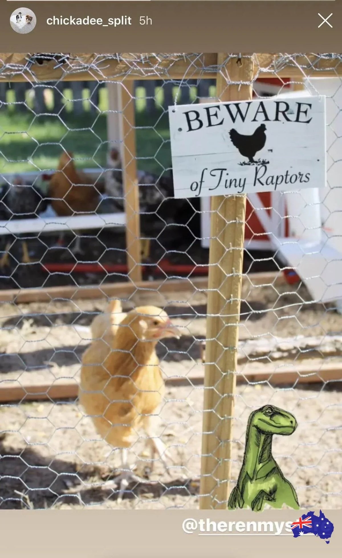 Beware Of Tiny Raptors Chicken Sign - The Renmy Store Homewares & Gifts
